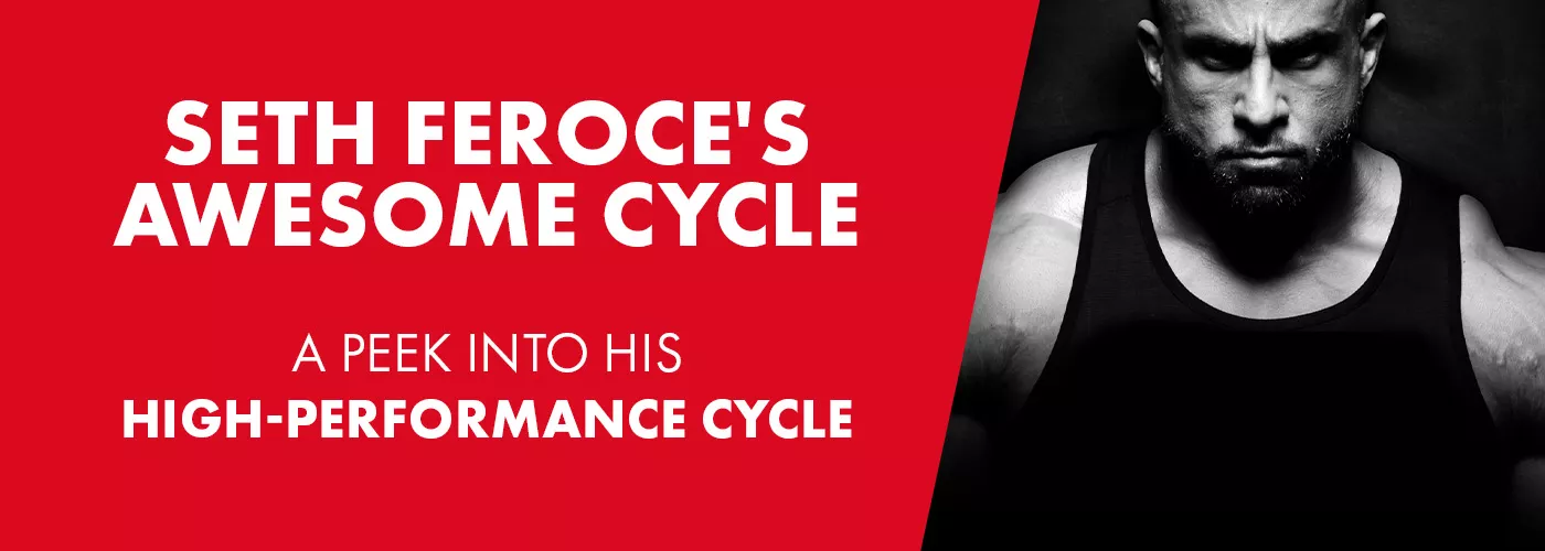 Seth Feroce's Awesome Cycle